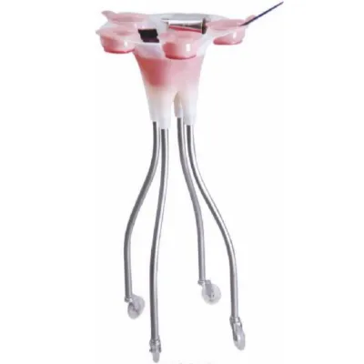 Elleebana, копия - 2026-02-19T132253.481