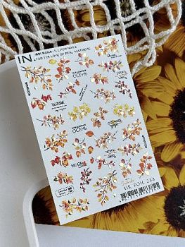 2025-08-25_02.09.58 (1)