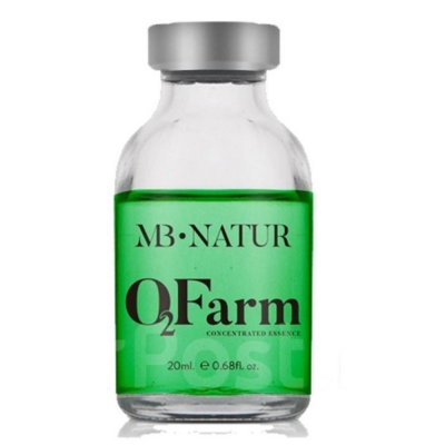 Дизайн без названия - 2025-12-12T140025.304