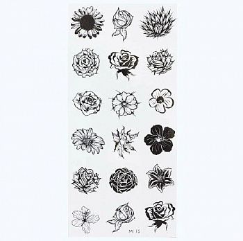 5339400203498813040