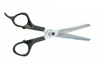 Снимок экрана 2025-05-13 113146