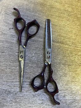 a7fd1921-46b6-493d-ba06-f3b4f1a7bef5