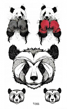 image (4)