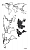 image (5)