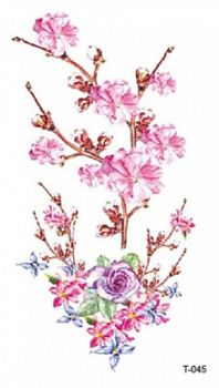image (1)