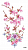 image (1)