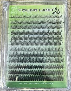 e88ac897-650c-4fc6-9403-e9a91f3e69ff