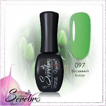 097 Весенний бутон