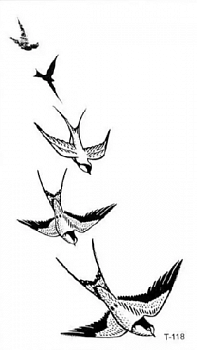 image (9)