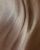 IMG_4217 IMG_4217