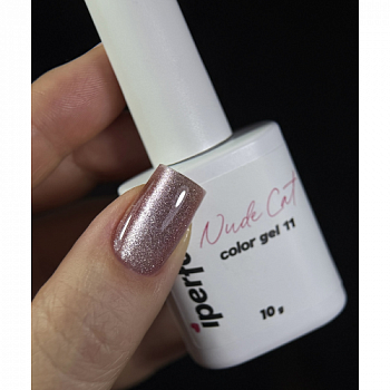 Elleebana - 2025-12-30T135909.154